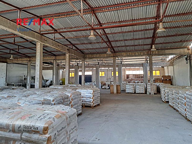 Industrial Space 2842.85 m², For sale, Olenia - 11