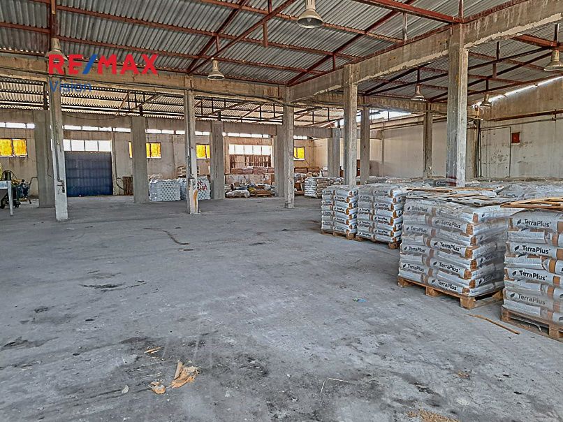 Industrial Space 2842.85 m², For sale, Olenia - 13