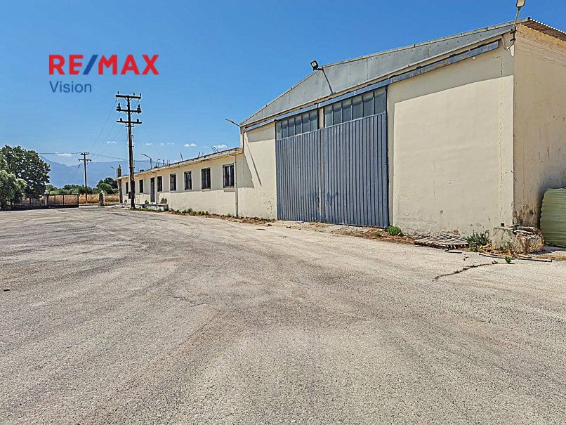 Industrial Space 2842.85 m², For sale, Olenia - 2