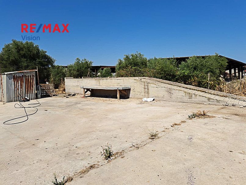 Industrial Space 2842.85 m², For sale, Olenia - 4