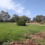 Land Plot 7100 m², For sale, Dytikis Achaias, Kato Achaia (1071663) - 1