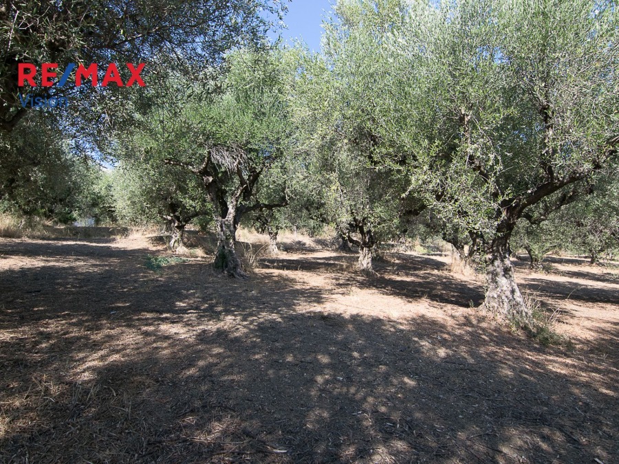 Οικόπεδο 1803 τ.μ., Προς πώληση, Παραλία, Μιντιλόγλι - 3