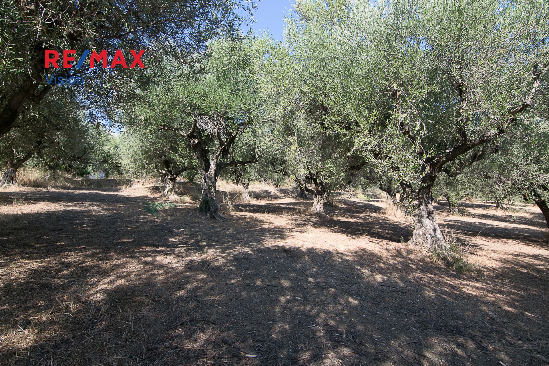 1104475 – 3 Οικόπεδο 1803 τ.μ., Προς πώληση, Παραλία, Μιντιλόγλι - 3