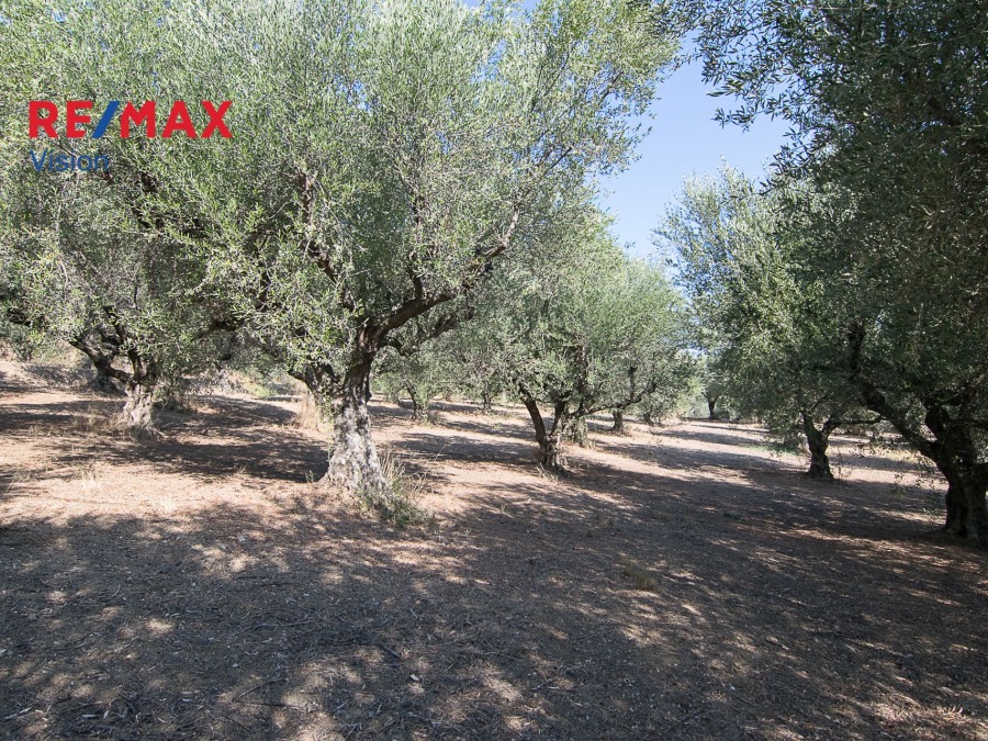 Οικόπεδο 1803 τ.μ., Προς πώληση, Παραλία, Μιντιλόγλι - 4