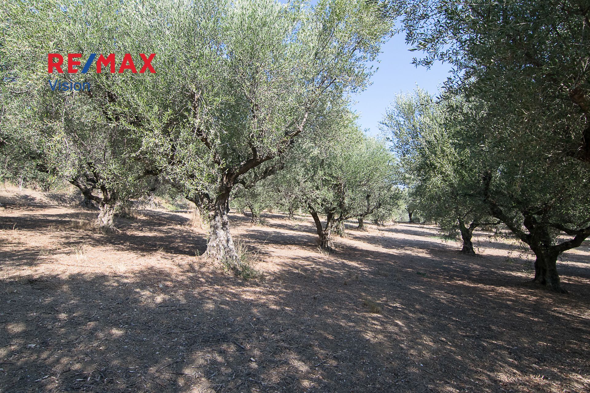 1104475 – 4 Οικόπεδο 1803 τ.μ., Προς πώληση, Παραλία, Μιντιλόγλι - 4