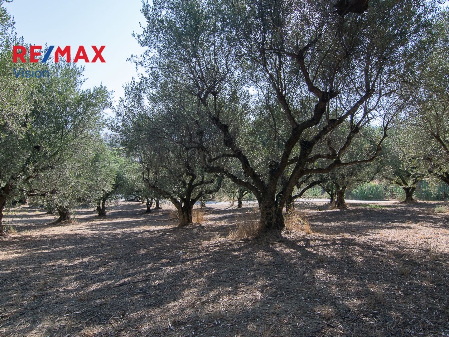 Οικόπεδο 1803 τ.μ., Προς πώληση, Παραλία, Μιντιλόγλι - 5