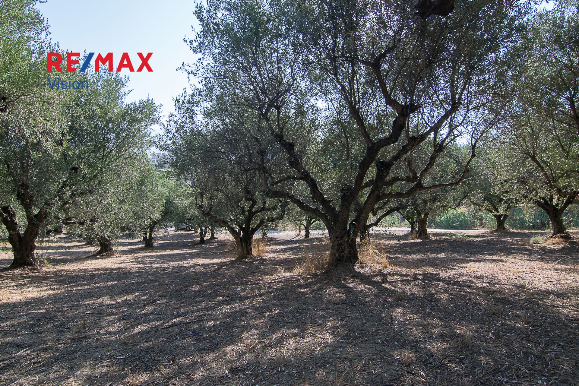 1104475 – 5 Οικόπεδο 1803 τ.μ., Προς πώληση, Παραλία, Μιντιλόγλι - 5