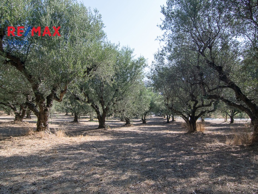 Οικόπεδο 1803 τ.μ., Προς πώληση, Παραλία, Μιντιλόγλι - 8