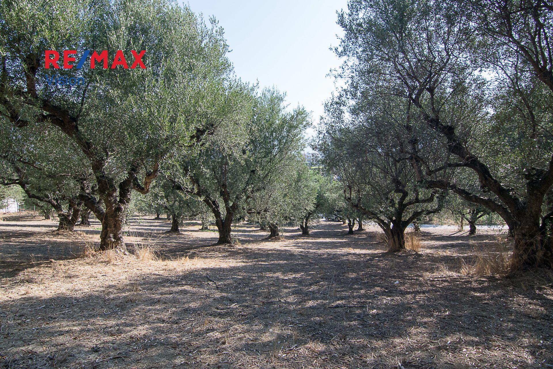 1104475 – 8 Οικόπεδο 1803 τ.μ., Προς πώληση, Παραλία, Μιντιλόγλι - 8