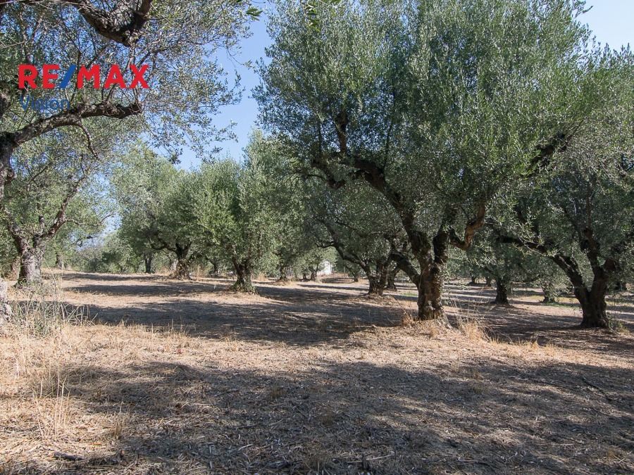 Οικόπεδο 1803 τ.μ., Προς πώληση, Παραλία, Μιντιλόγλι - 9