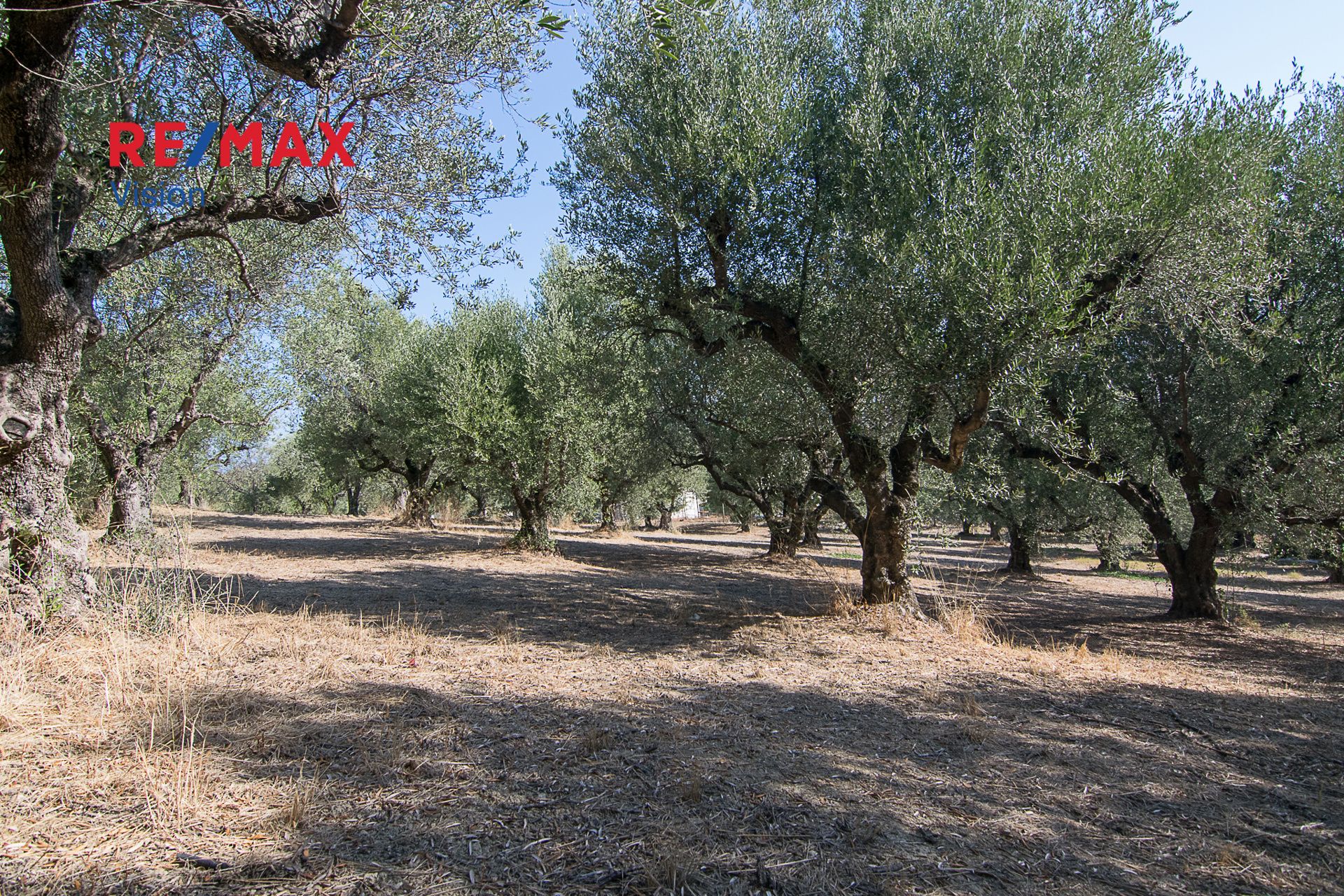 1104475 – 9 Οικόπεδο 1803 τ.μ., Προς πώληση, Παραλία, Μιντιλόγλι - 9