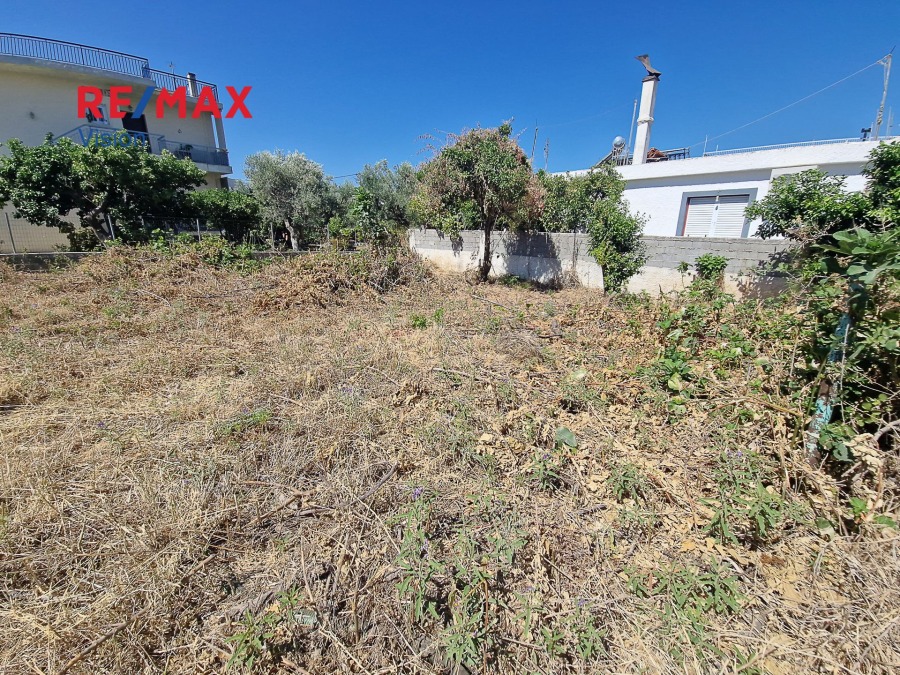 Οικόπεδο 300 τ.μ., Προς πώληση, Πάτρα, Προάστιο - 3