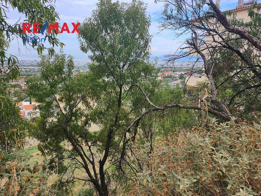 Οικόπεδο 590 τ.μ., Προς πώληση, Πάτρα, Καρυά - 3