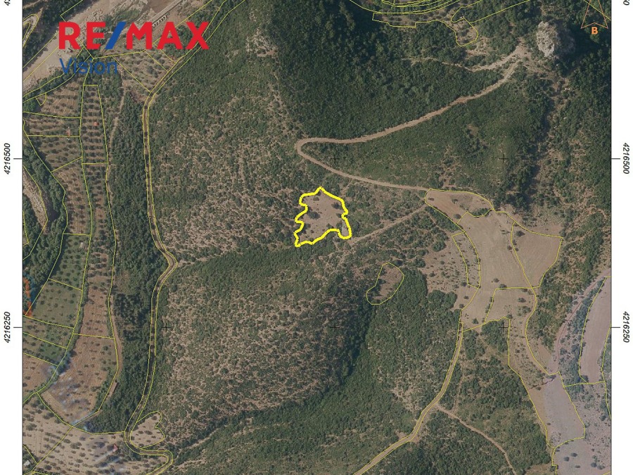 Αγροτεμάχιο 16534 τ.μ., Προς πώληση, Φαρές, Αγία Ελεούσα - 3