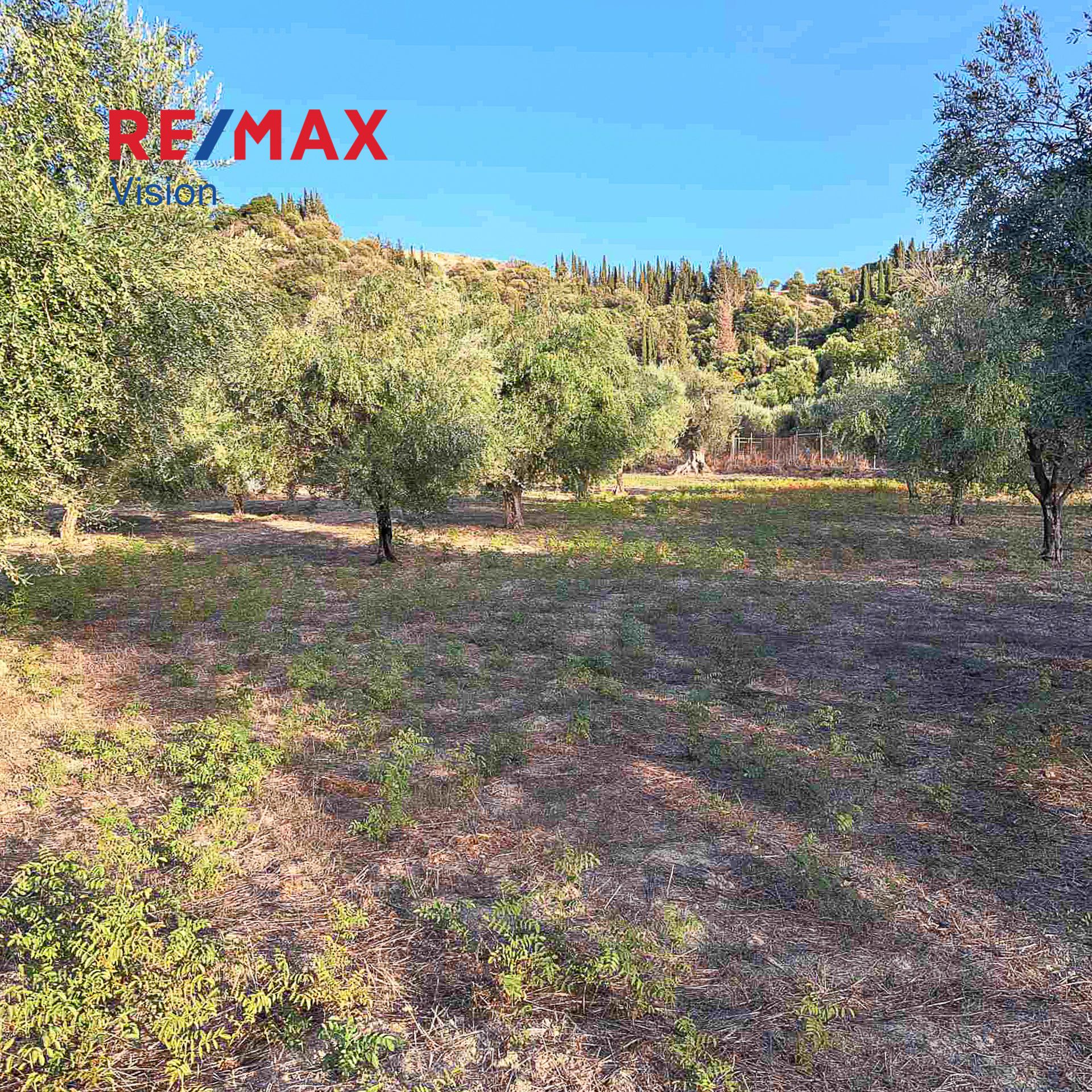 1270860 – 1 Αγροτεμάχιο 3335 τ.μ., Προς πώληση, Παραλία, Ρογίτικα - 1