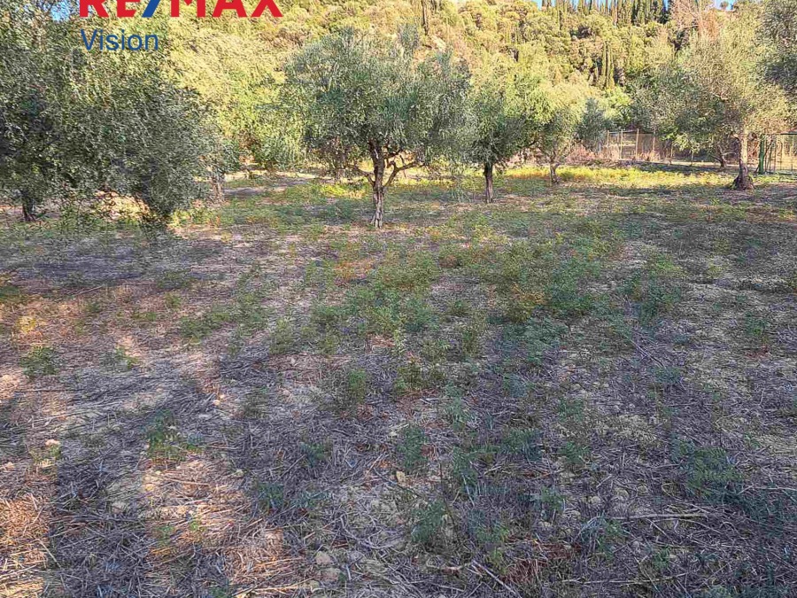 Αγροτεμάχιο 3335 τ.μ., Προς πώληση, Παραλία, Ρογίτικα - 2