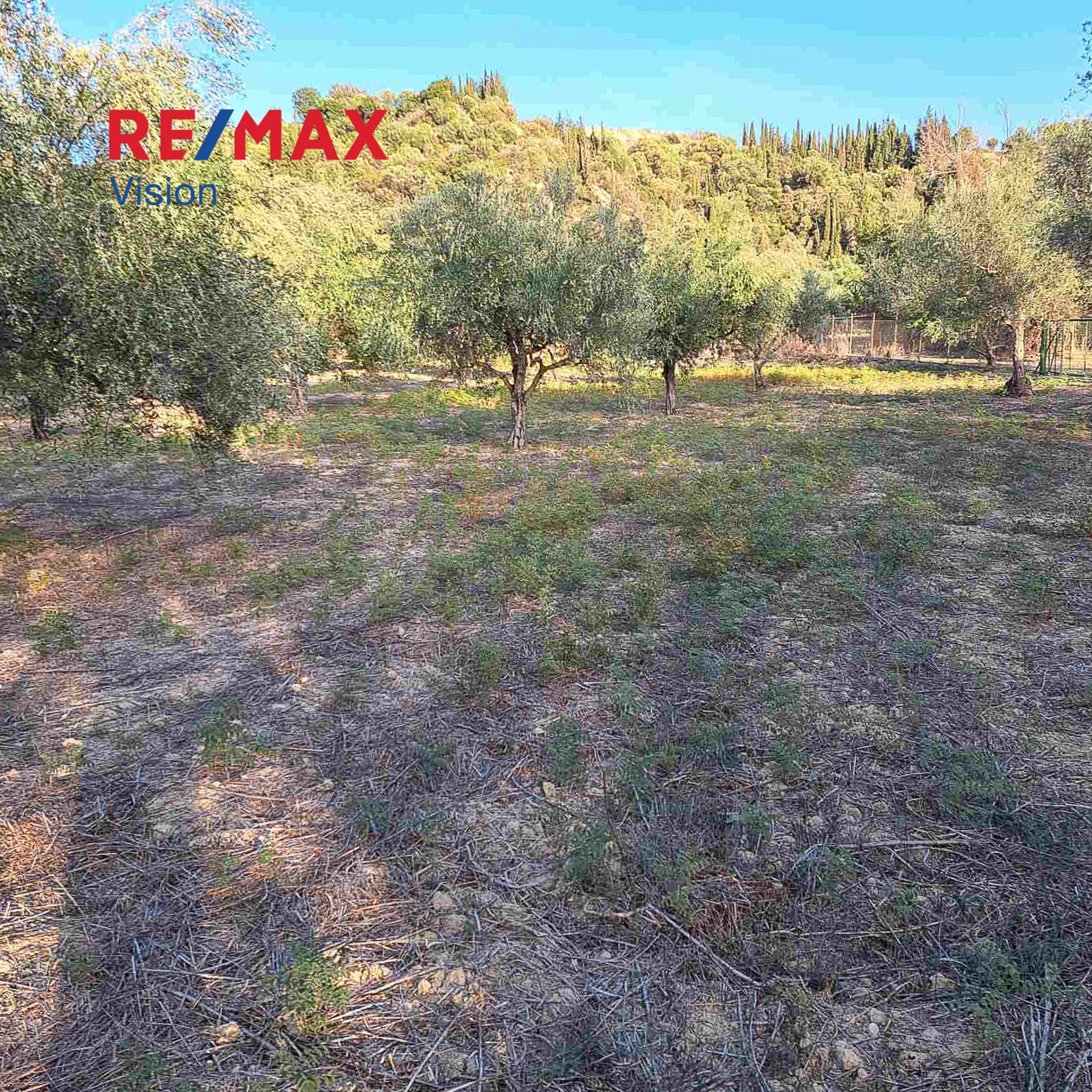 1270860 – 2 Αγροτεμάχιο 3335 τ.μ., Προς πώληση, Παραλία, Ρογίτικα - 2