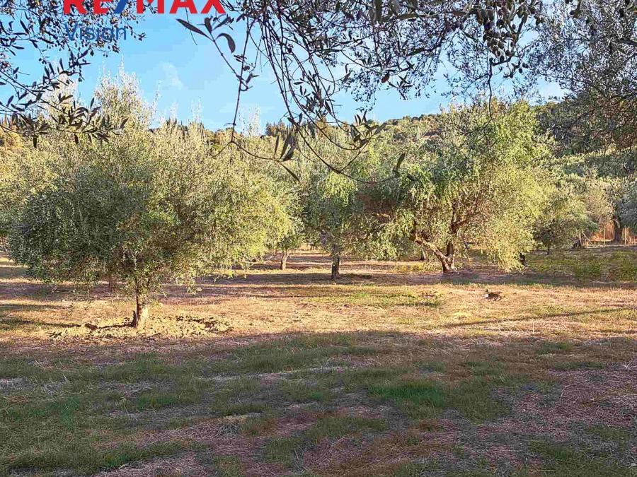 Αγροτεμάχιο 3335 τ.μ., Προς πώληση, Παραλία, Ρογίτικα - 3
