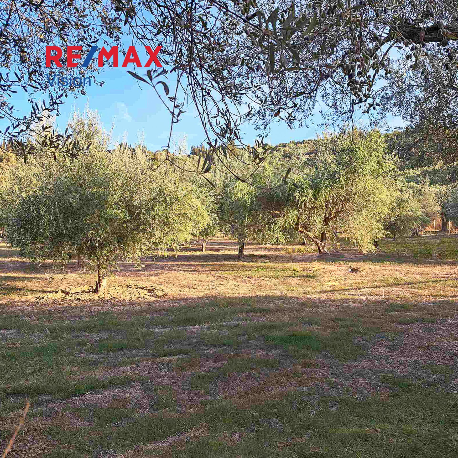 1270860 – 3 Αγροτεμάχιο 3335 τ.μ., Προς πώληση, Παραλία, Ρογίτικα - 3