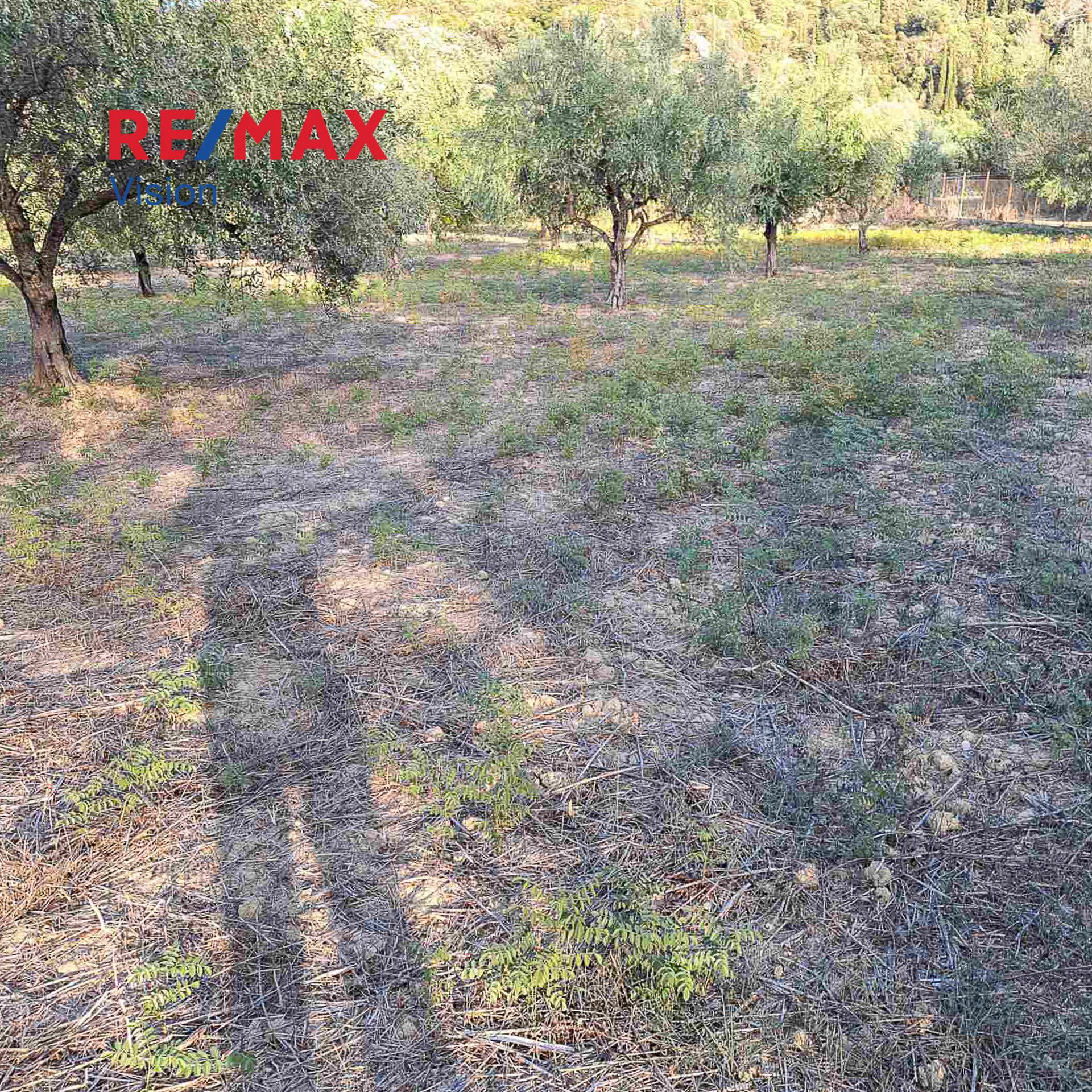 1270860 – 4 Αγροτεμάχιο 3335 τ.μ., Προς πώληση, Παραλία, Ρογίτικα - 4