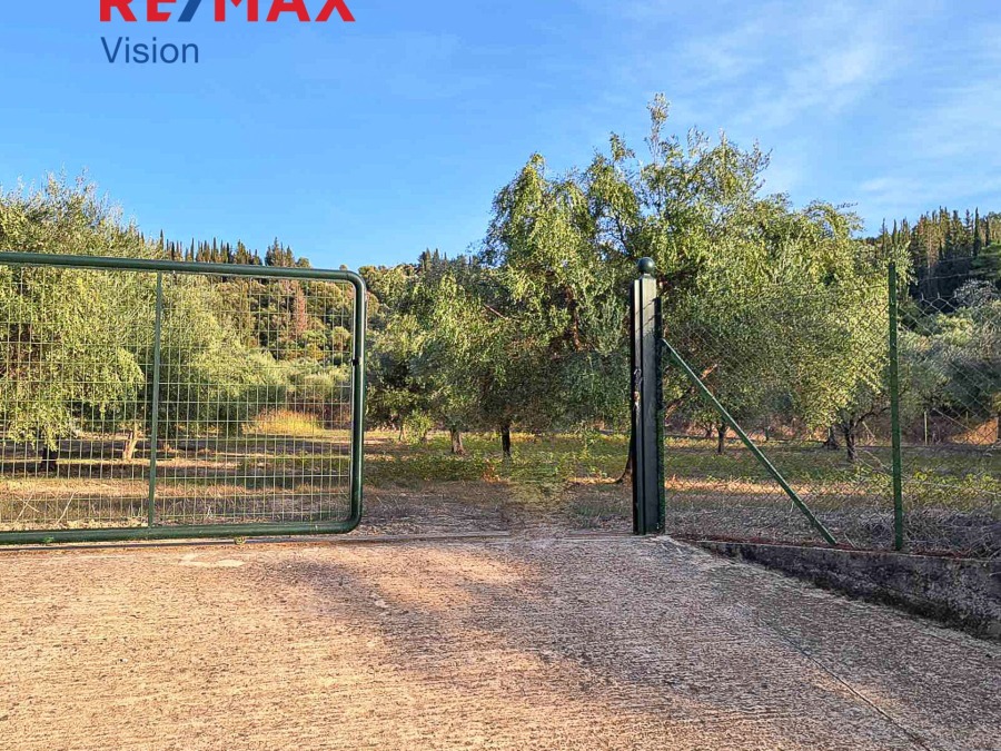 Αγροτεμάχιο 3335 τ.μ., Προς πώληση, Παραλία, Ρογίτικα - 6