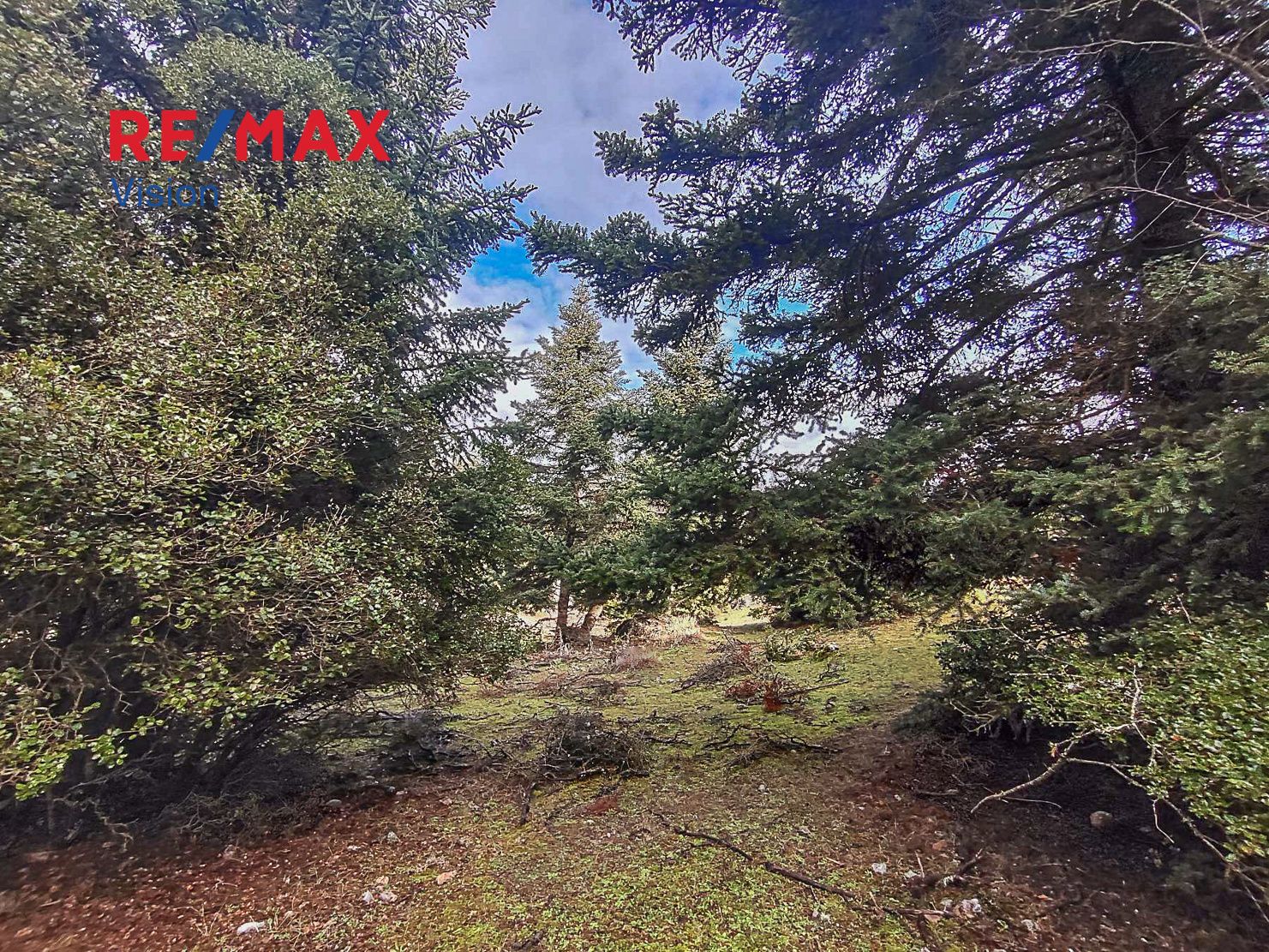 1327352 – 9 Οικόπεδο 5500 τ.μ., Προς πώληση, Καλάβρυτα, Κάτω Λουσοί - 9