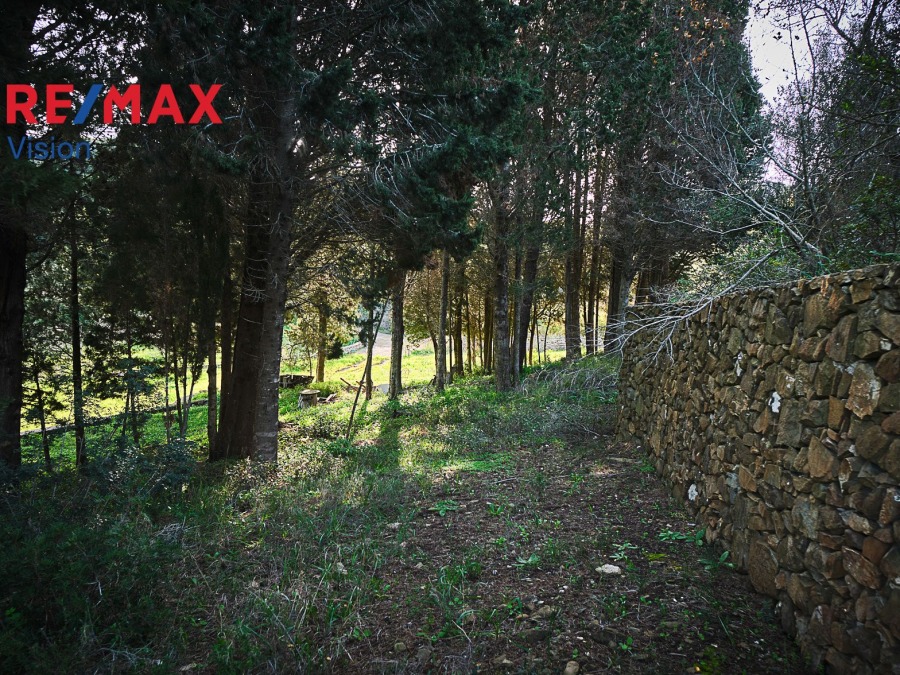 Οικόπεδο 3552,72 τ.μ., Προς πώληση, Κύθηρα, Κάλαμος - 13