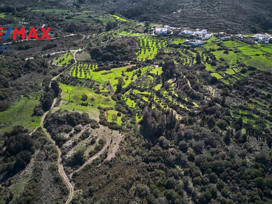 Οικόπεδο 4694 τ.μ., Προς πώληση, Κύθηρα - 9