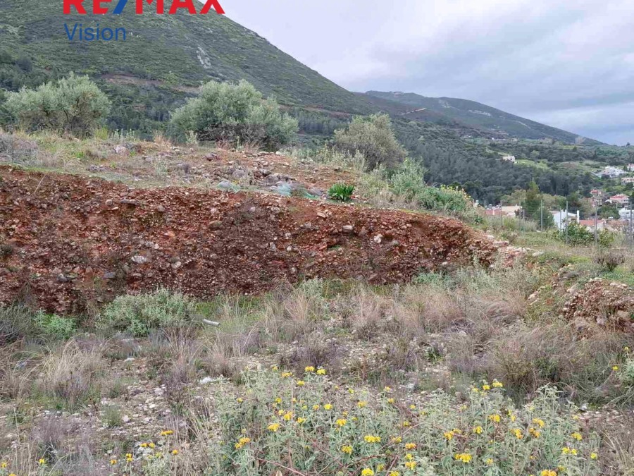 Οικόπεδο 528 τ.μ., Προς πώληση, Μεσσατίδα - 3