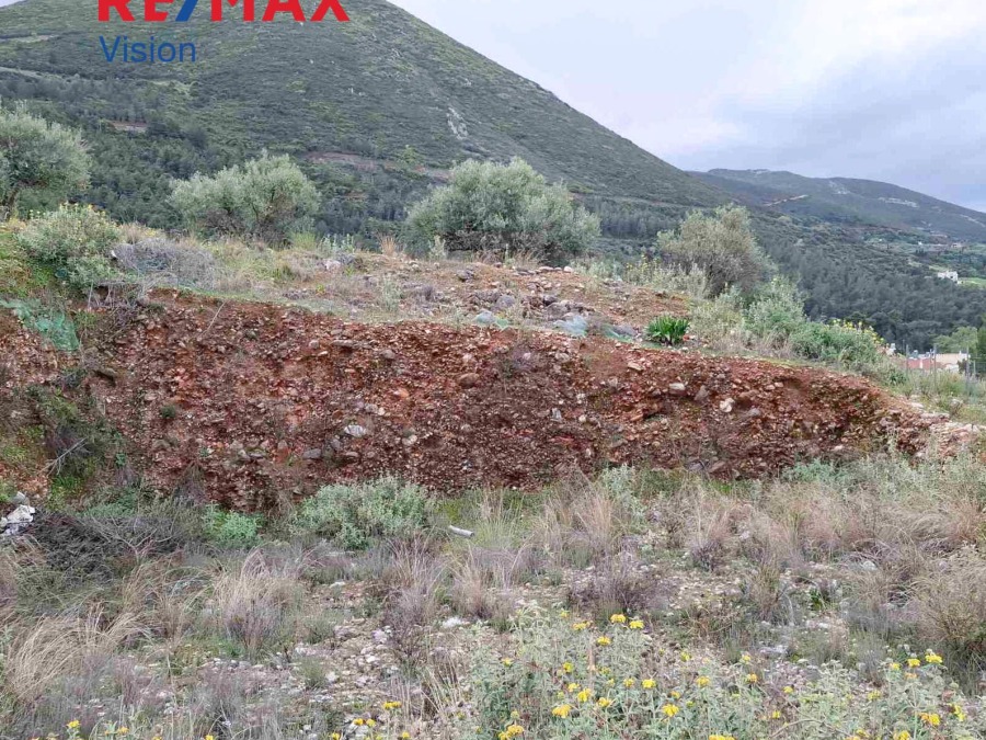 Οικόπεδο 528 τ.μ., Προς πώληση, Μεσσατίδα - 4