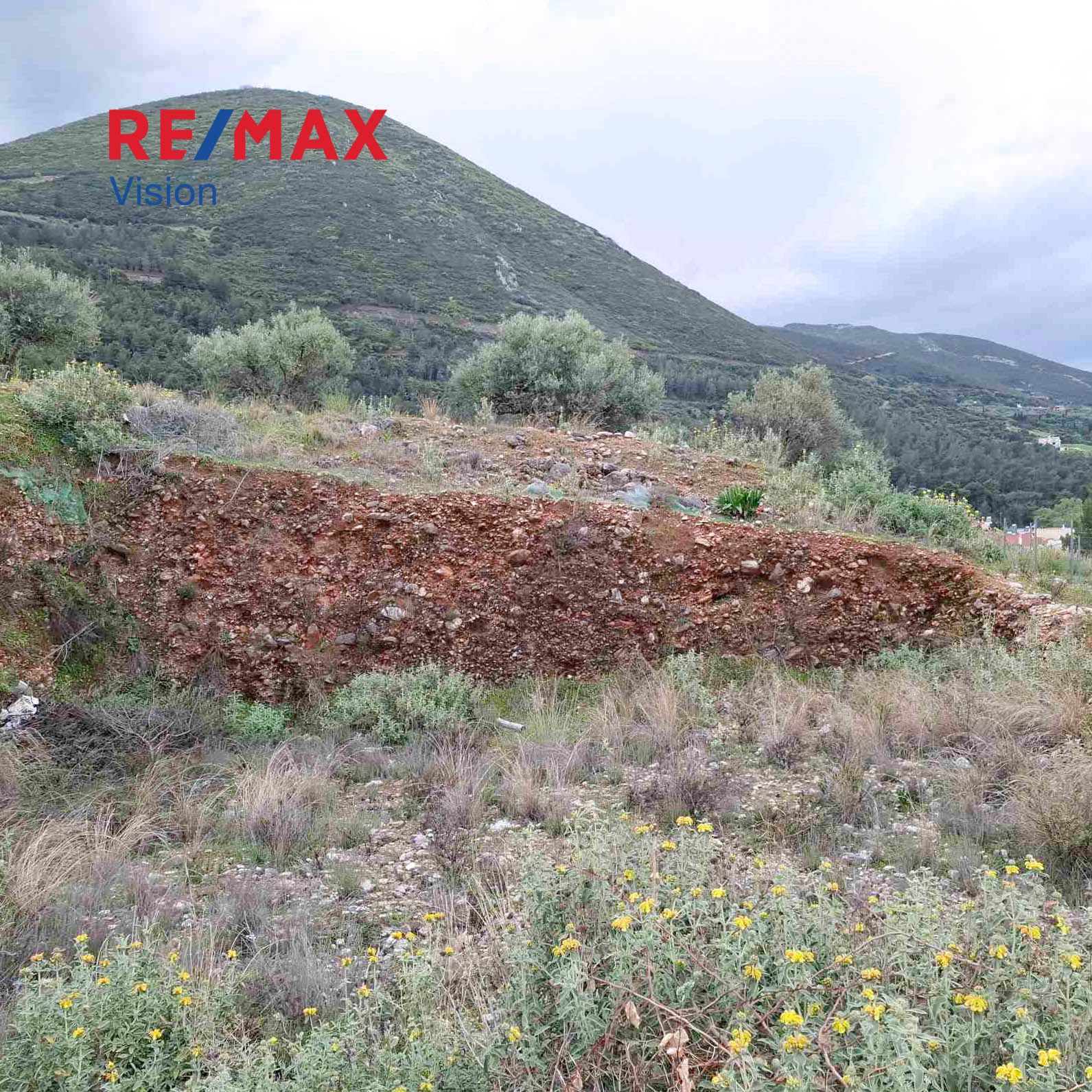 1521928 – 4 Οικόπεδο 528 τ.μ., Προς πώληση, Μεσσατίδα - 4