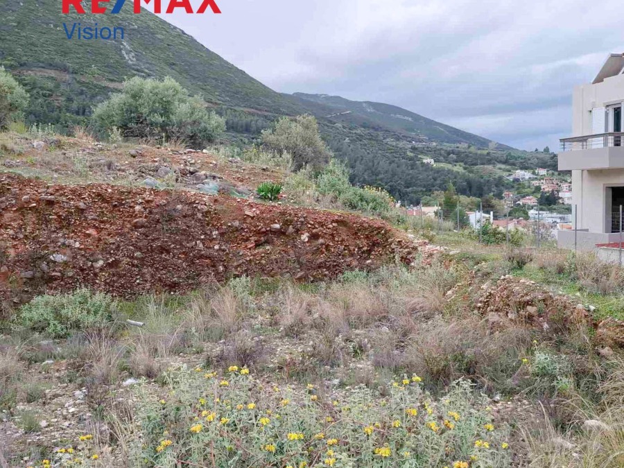 Οικόπεδο 528 τ.μ., Προς πώληση, Μεσσατίδα - 5