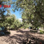 Αγροτεμάχιο 1700 τ.μ., Προς πώληση, Μεσσατίδα, Δεμένικα (1546781) - 1