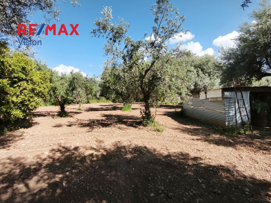 Αγροτεμάχιο 1700 τ.μ., Προς πώληση, Μεσσατίδα, Δεμένικα - 10