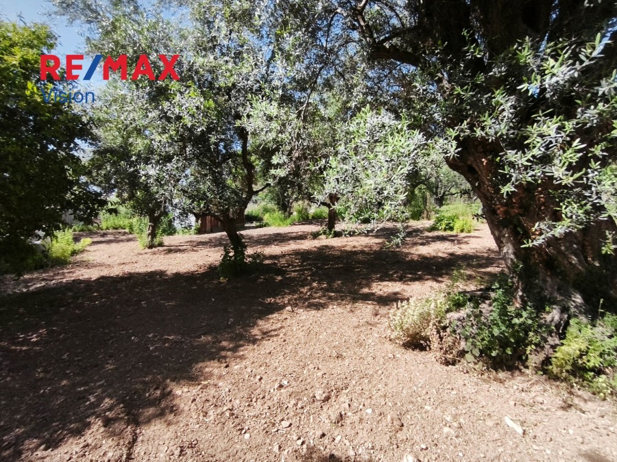 Αγροτεμάχιο 1700 τ.μ., Προς πώληση, Μεσσατίδα, Δεμένικα - 11