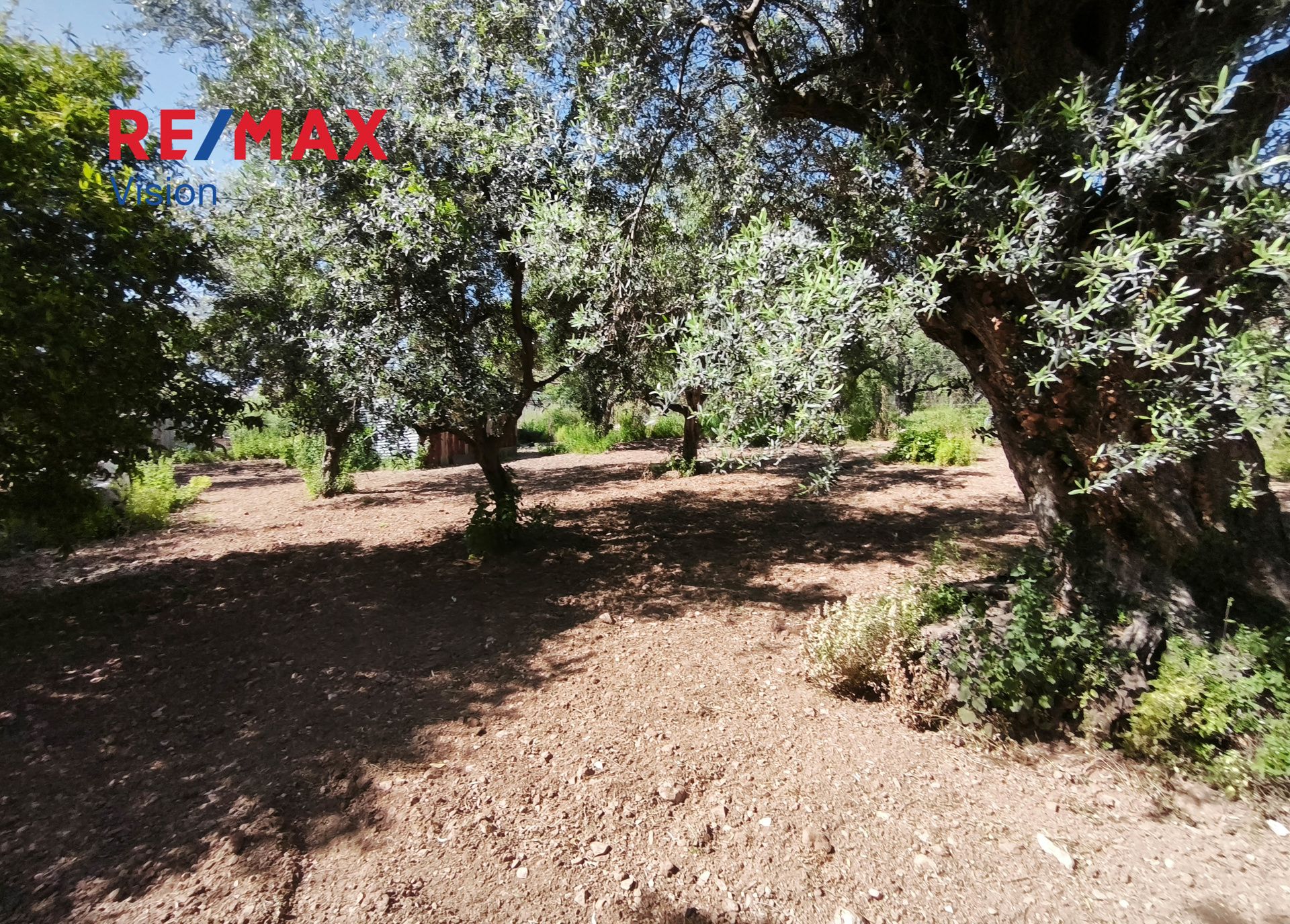 1546781 – 11 Αγροτεμάχιο 1700 τ.μ., Προς πώληση, Μεσσατίδα, Δεμένικα - 11