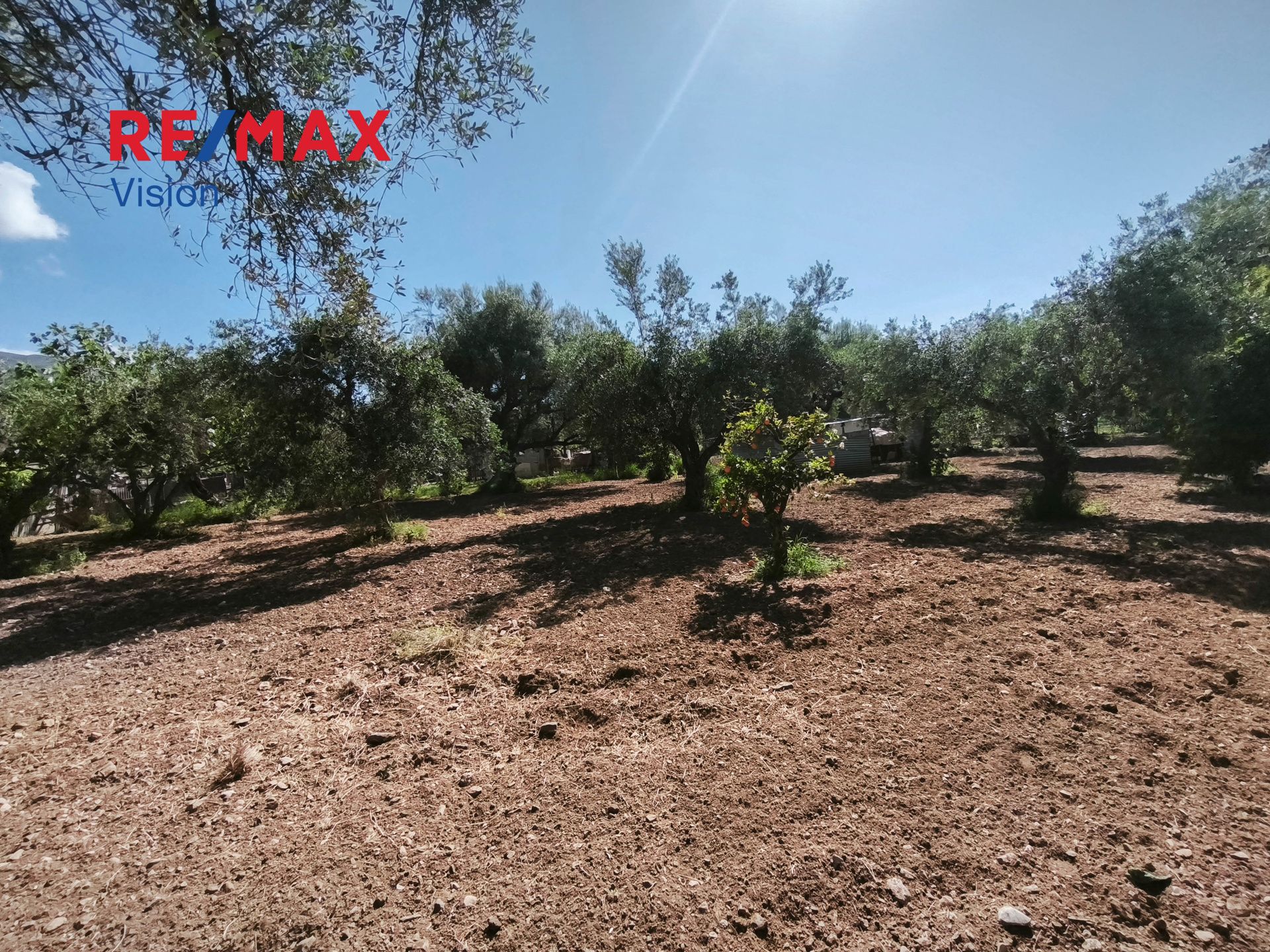 1546781 – 13 Αγροτεμάχιο 1700 τ.μ., Προς πώληση, Μεσσατίδα, Δεμένικα - 13
