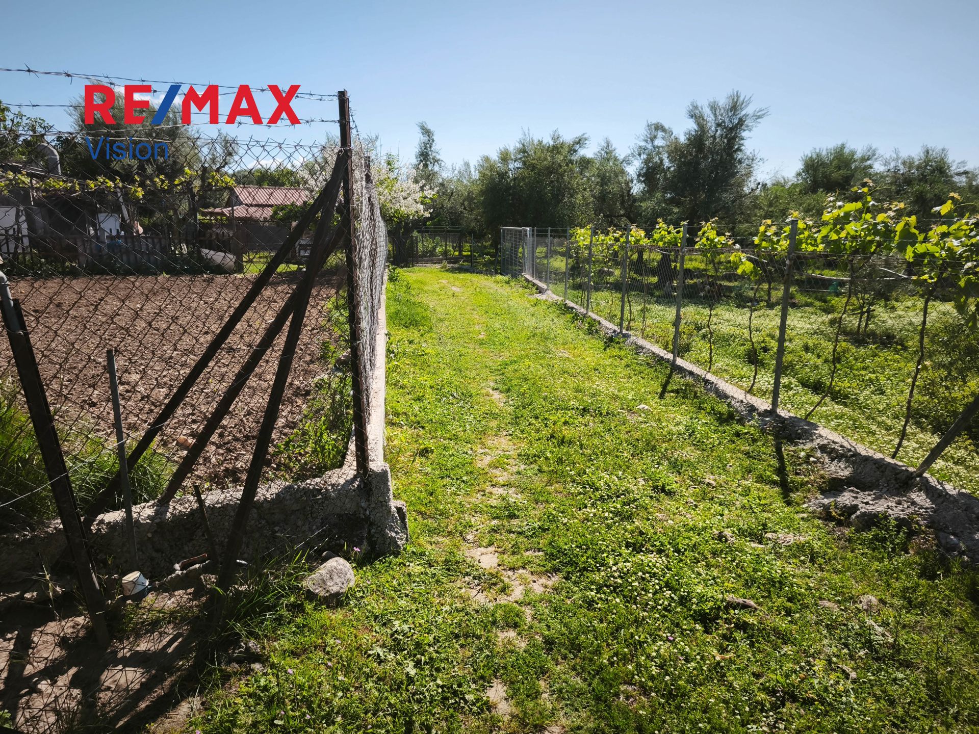 1546781 – 2 Αγροτεμάχιο 1700 τ.μ., Προς πώληση, Μεσσατίδα, Δεμένικα - 2
