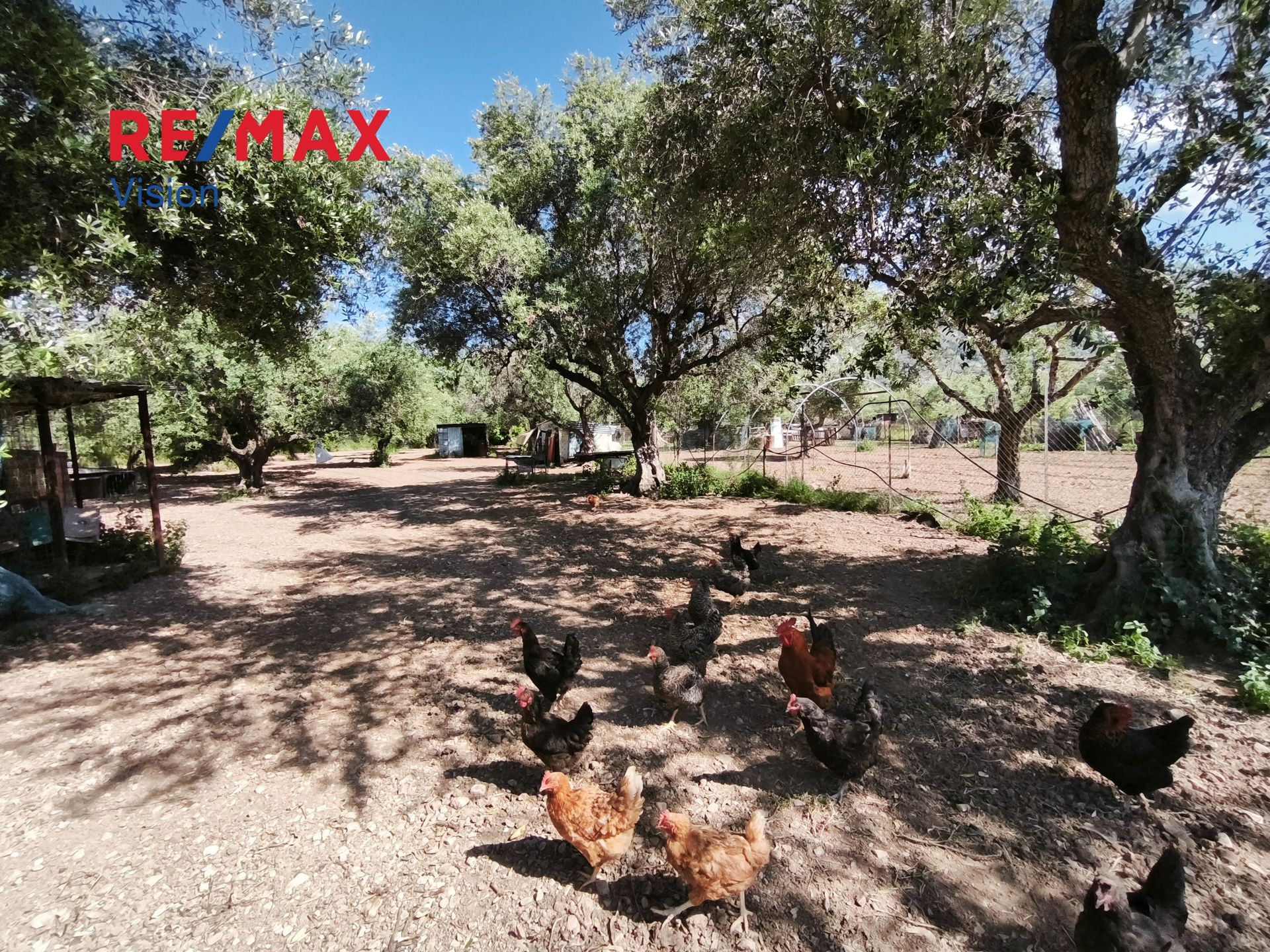 1546781 – 3 Αγροτεμάχιο 1700 τ.μ., Προς πώληση, Μεσσατίδα, Δεμένικα - 3