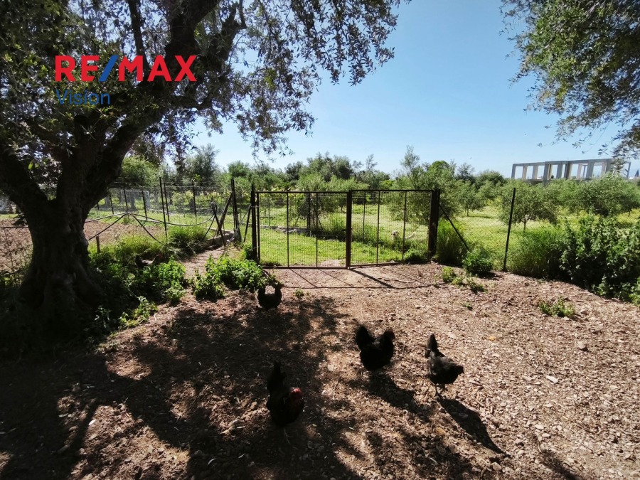 Αγροτεμάχιο 1700 τ.μ., Προς πώληση, Μεσσατίδα, Δεμένικα - 5