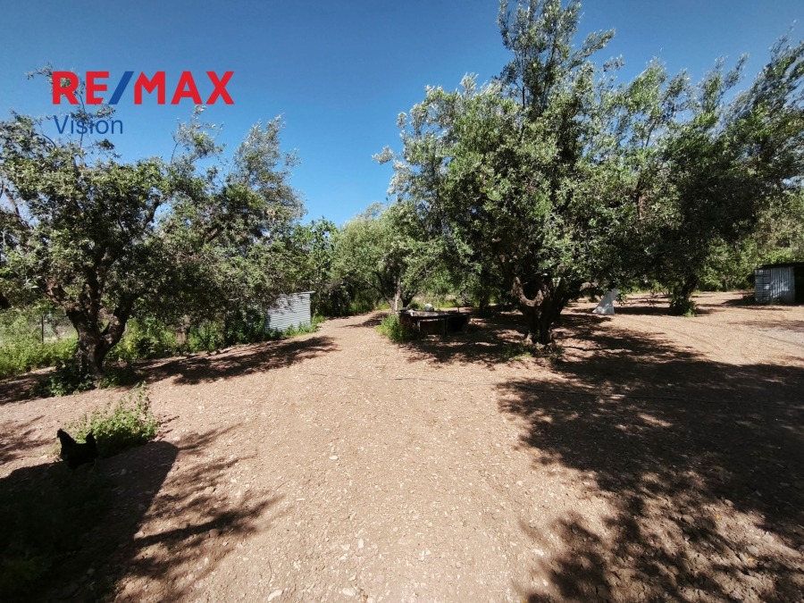 Αγροτεμάχιο 1700 τ.μ., Προς πώληση, Μεσσατίδα, Δεμένικα - 6