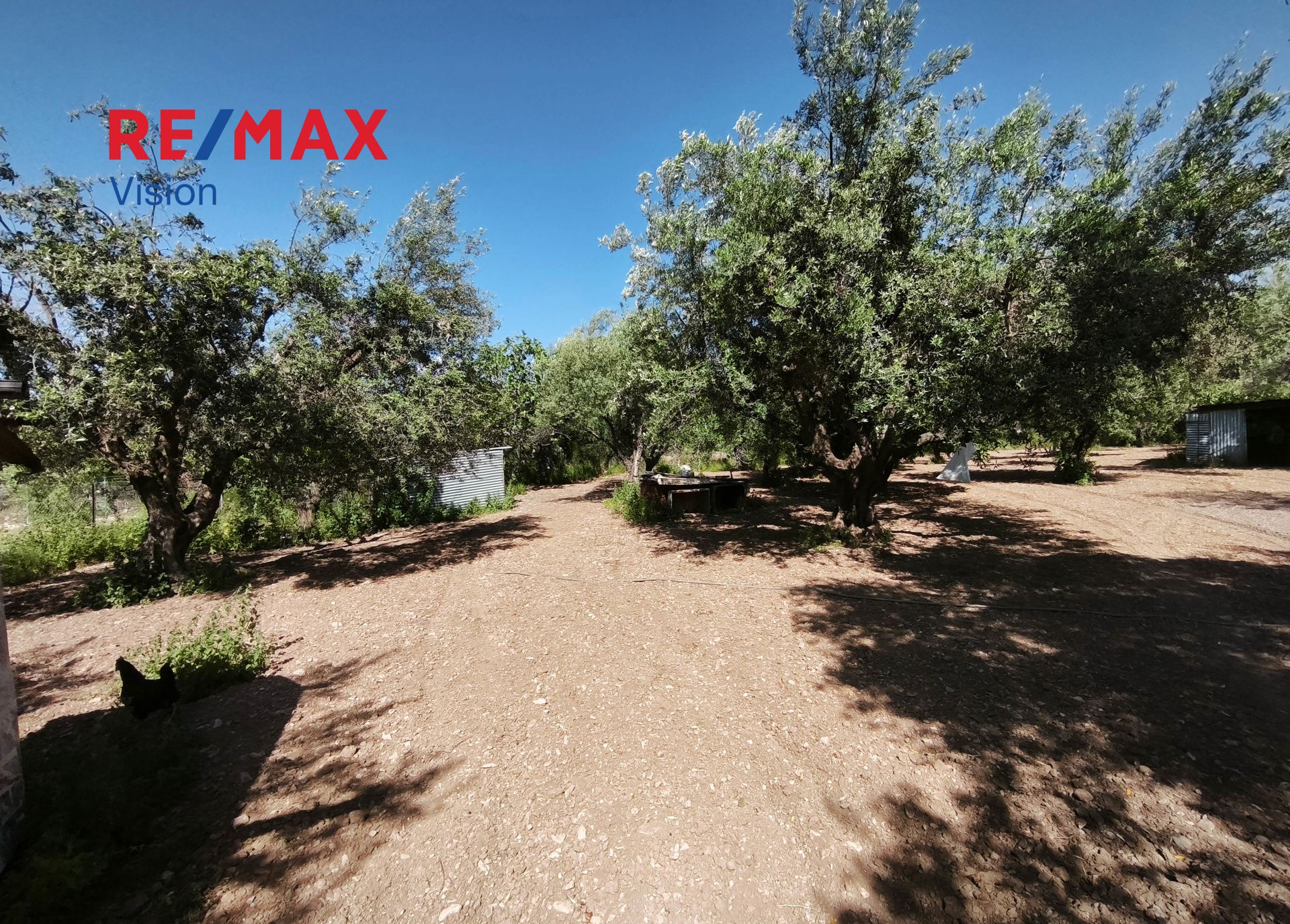 1546781 – 6 Αγροτεμάχιο 1700 τ.μ., Προς πώληση, Μεσσατίδα, Δεμένικα - 6