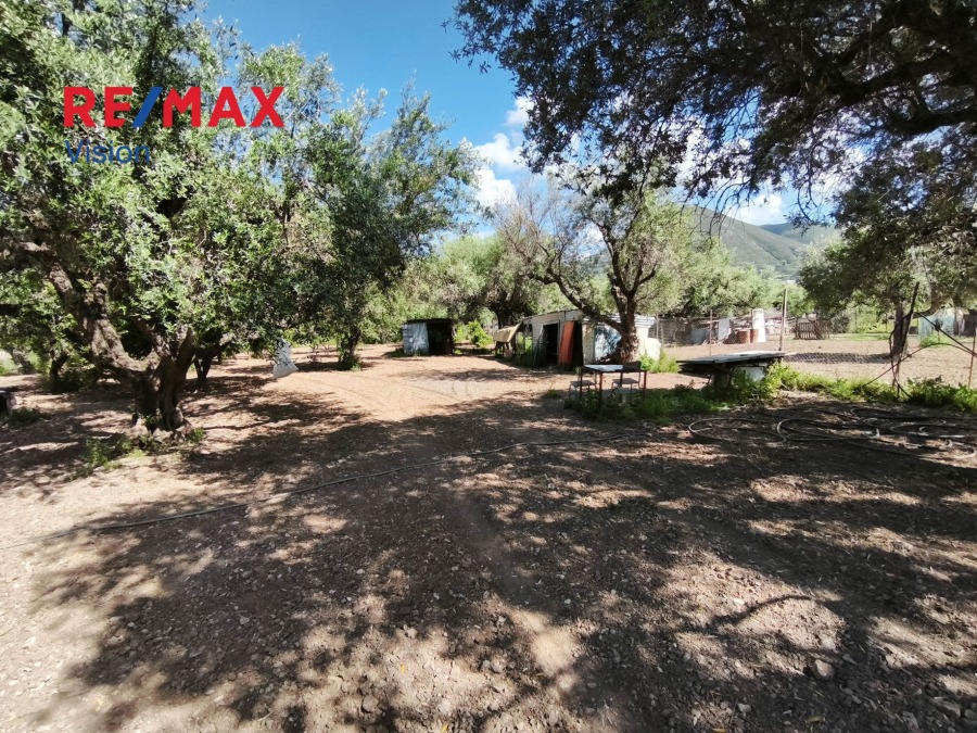 Αγροτεμάχιο 1700 τ.μ., Προς πώληση, Μεσσατίδα, Δεμένικα - 7
