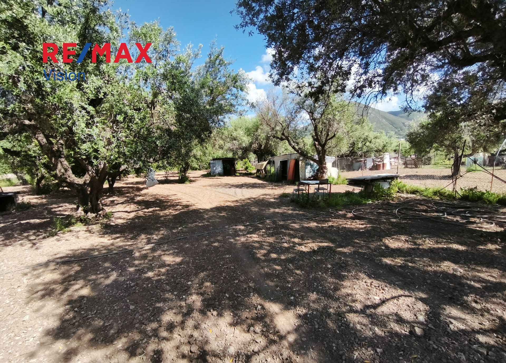 1546781 – 7 Αγροτεμάχιο 1700 τ.μ., Προς πώληση, Μεσσατίδα, Δεμένικα - 7