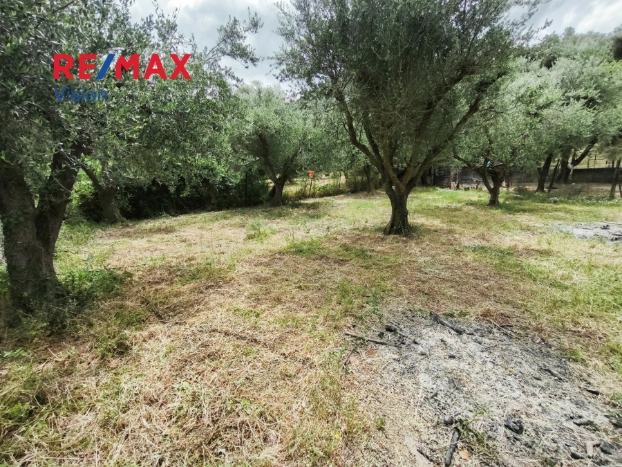 Οικόπεδο 2500 τ.μ., Προς πώληση, Μεσσατίδα, Σαραβάλι - 3