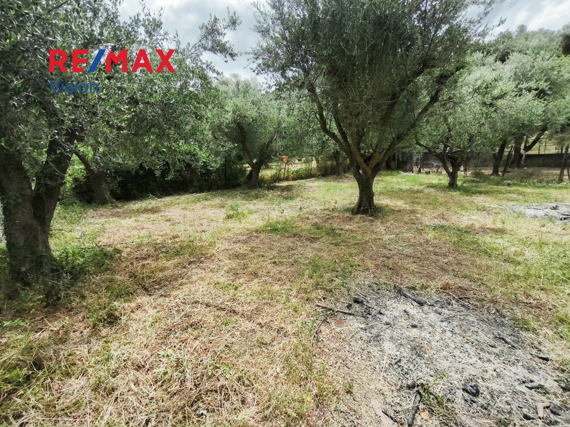 1575412 – 3 Οικόπεδο 2500 τ.μ., Προς πώληση, Μεσσατίδα, Σαραβάλι - 3