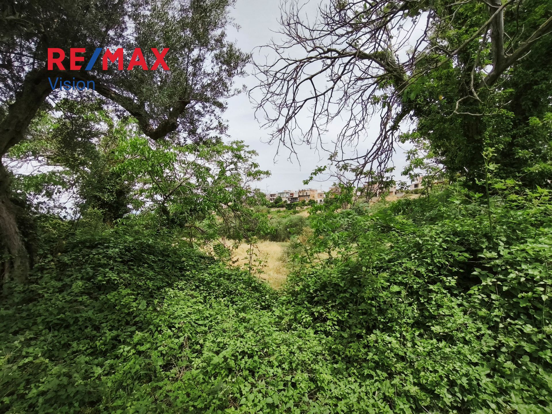 1575412 – 4 Οικόπεδο 2500 τ.μ., Προς πώληση, Μεσσατίδα, Σαραβάλι - 4