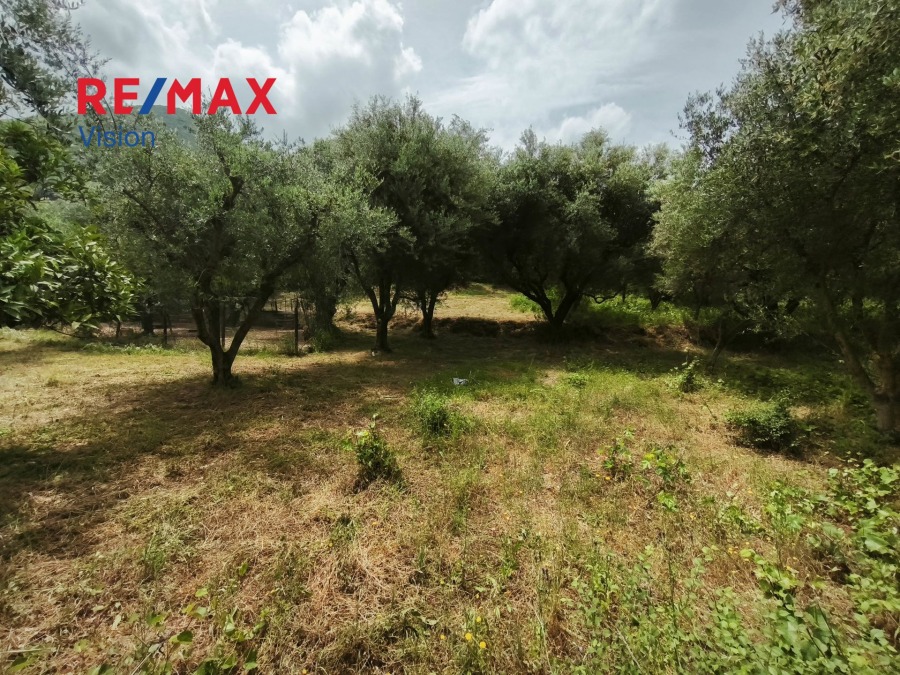 Οικόπεδο 2500 τ.μ., Προς πώληση, Μεσσατίδα, Σαραβάλι - 6