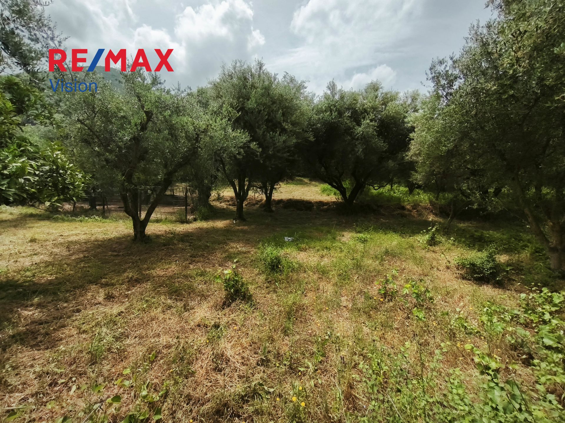 1575412 – 6 Οικόπεδο 2500 τ.μ., Προς πώληση, Μεσσατίδα, Σαραβάλι - 6