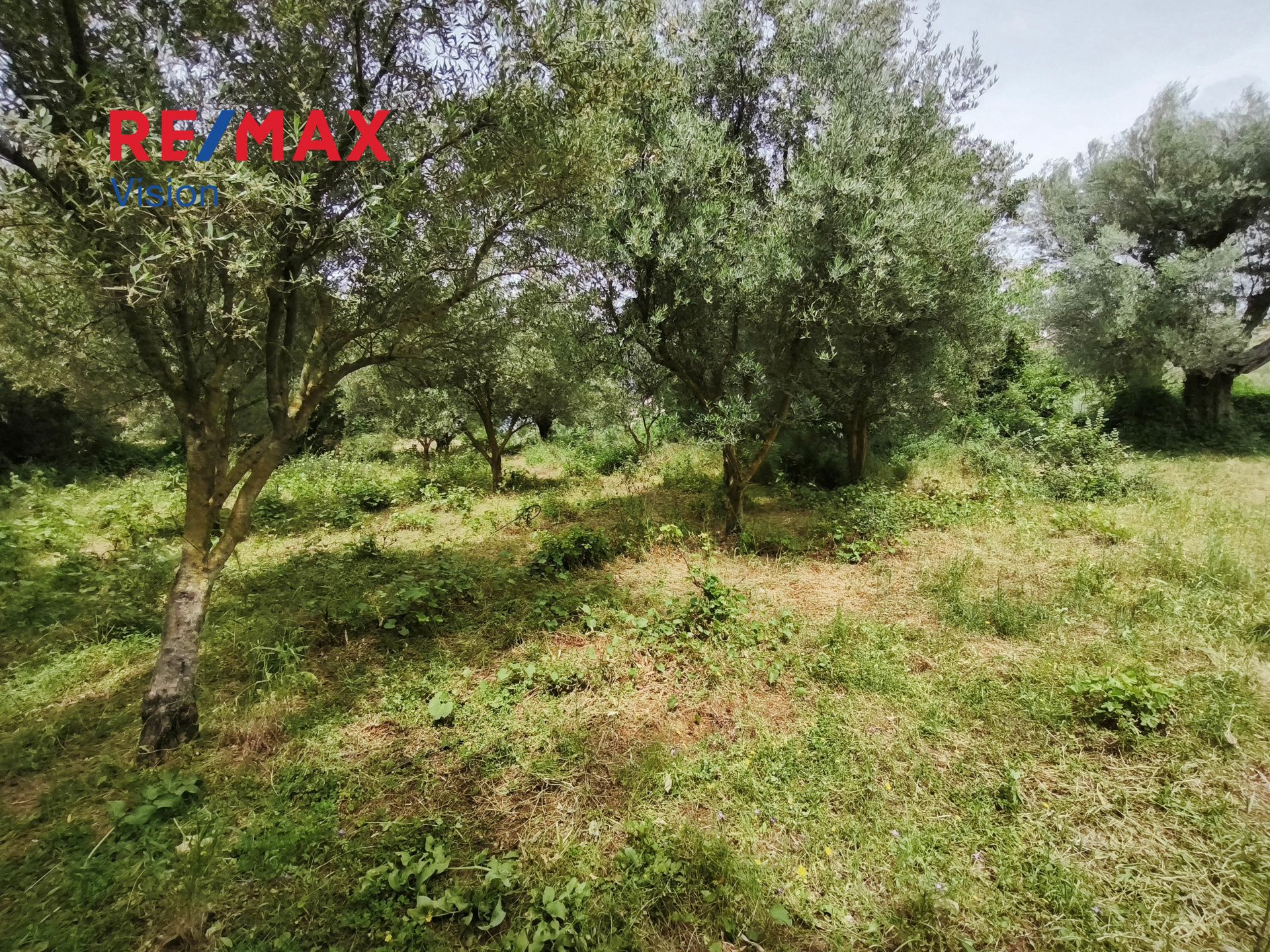 1575412 – 7 Οικόπεδο 2500 τ.μ., Προς πώληση, Μεσσατίδα, Σαραβάλι - 7